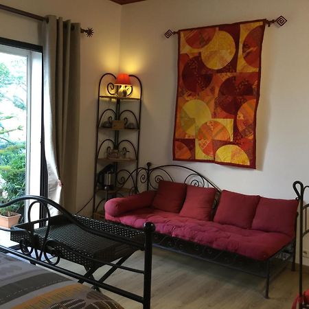 Saint-Hippolyte  Mas Soleil Et Vignes Bed & Breakfast エクステリア 写真
