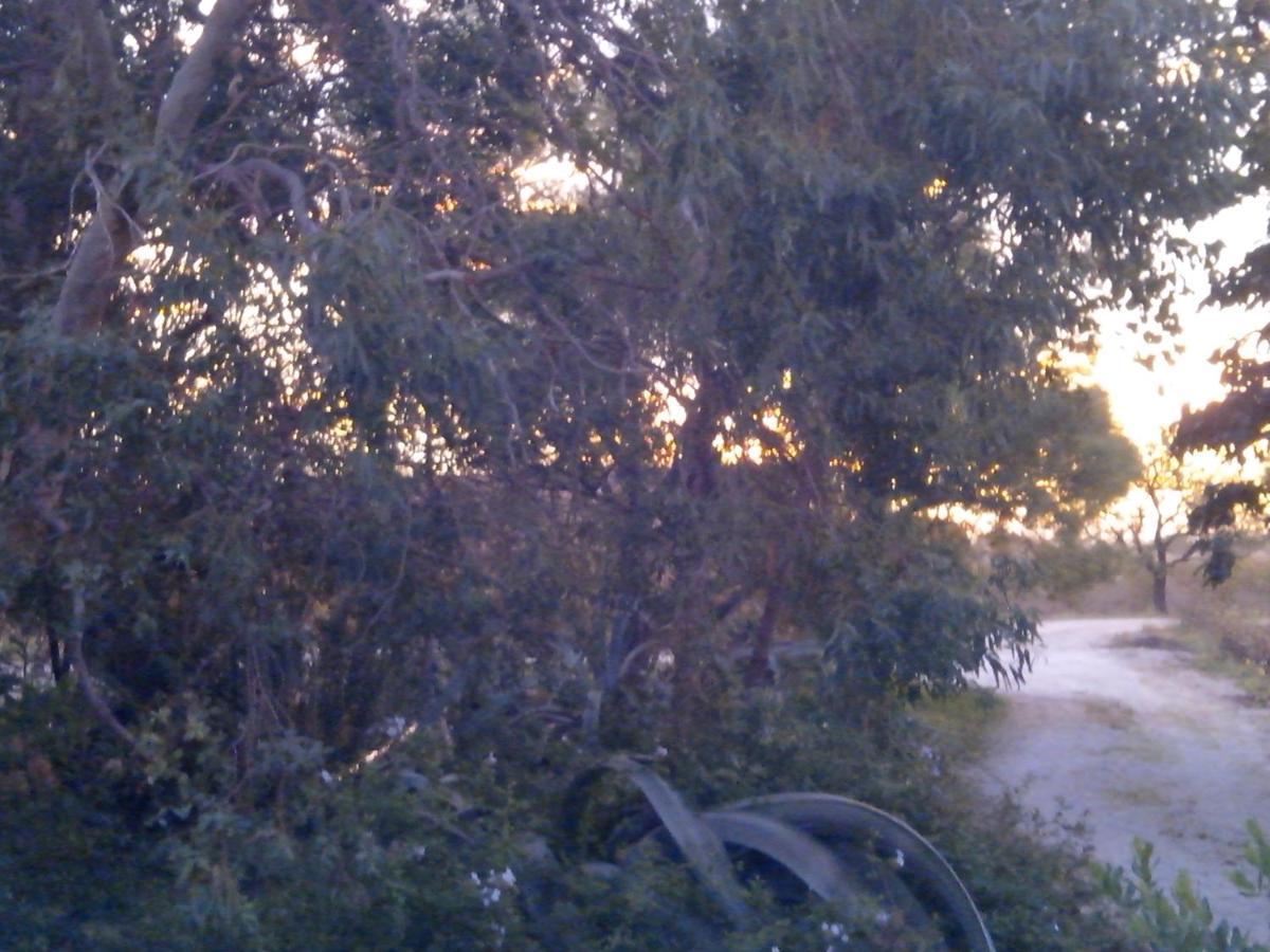 Saint-Hippolyte  Mas Soleil Et Vignes Bed & Breakfast エクステリア 写真