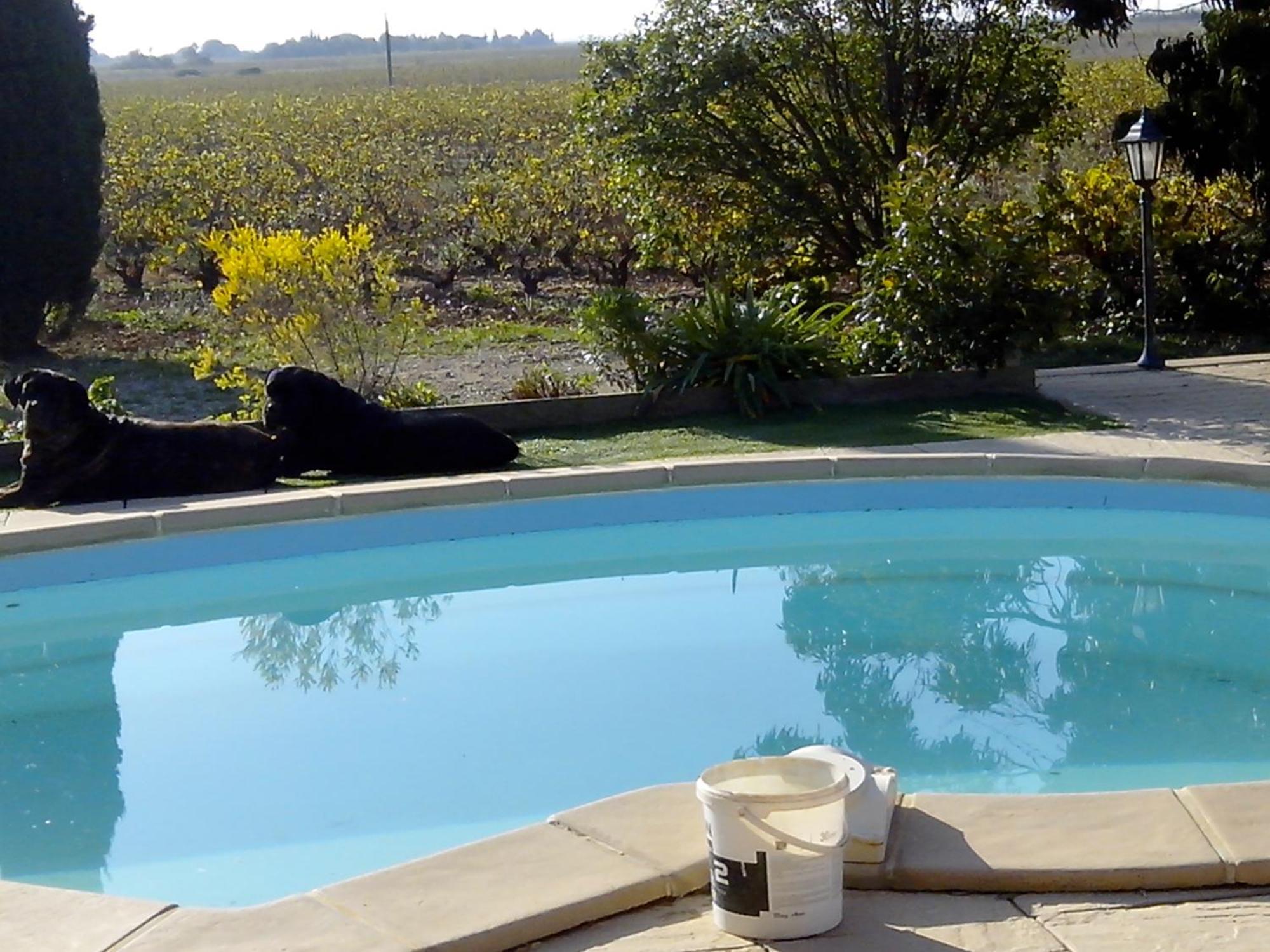 Saint-Hippolyte  Mas Soleil Et Vignes Bed & Breakfast エクステリア 写真